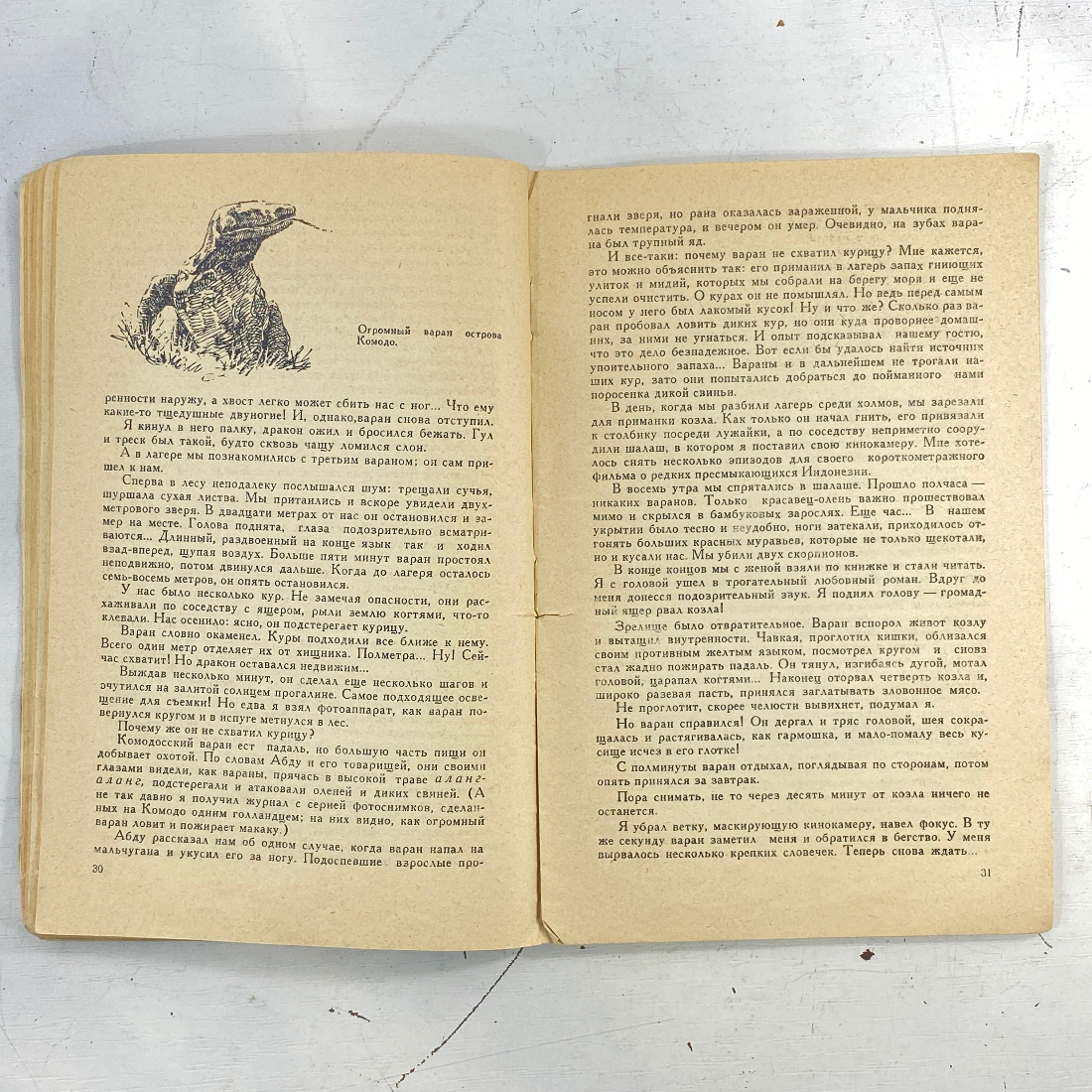 "Змеи-гиганты и страшные ящеры" СССР книга. Картинка 8